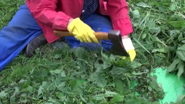 Tukang kebun memotong jelatang dengan kapak — Stok Video