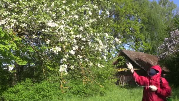 Jordbrukaren bespruta blommande äppelträd — Stockvideo