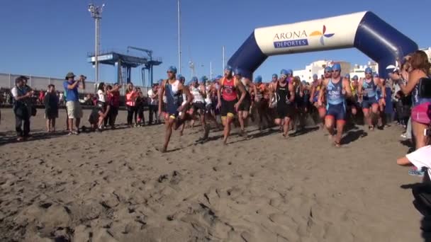 Zwemmen competitie start op Adeje strand — Stockvideo