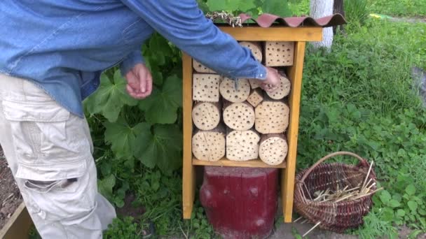 Hotel de insetos de enchimento de jardineiro com palha — Vídeo de Stock