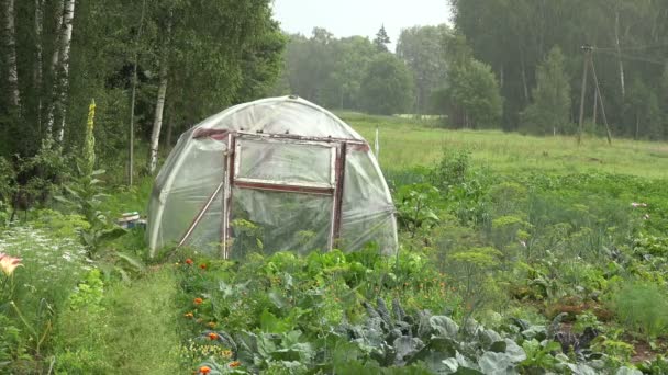 Regen vallen op broeikasgassen — Stockvideo