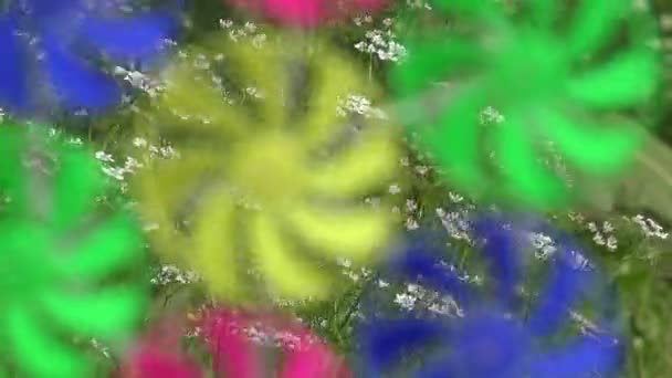 模糊的背景的彩虹风车转动，4 k — 图库视频影像
