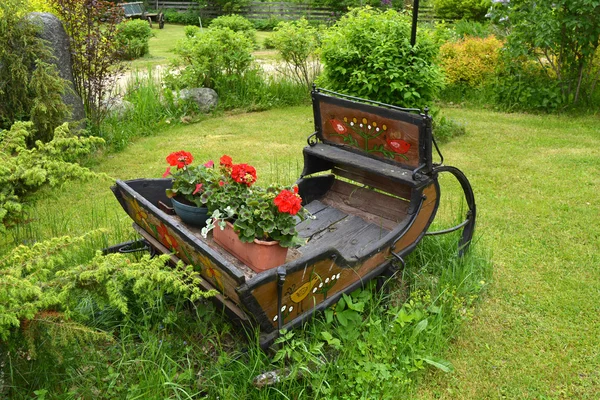 Old rusty wooden sleigh with flower in ranch — Stock Photo, Image