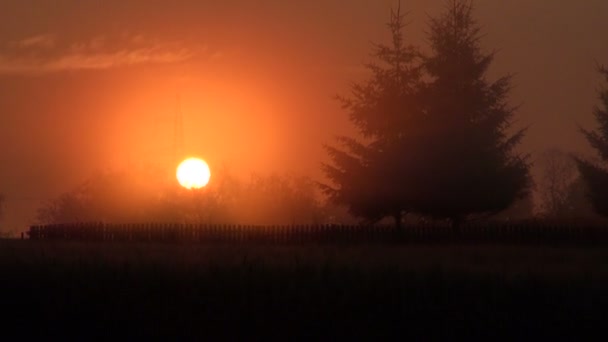 在农村中的日出 — 图库视频影像