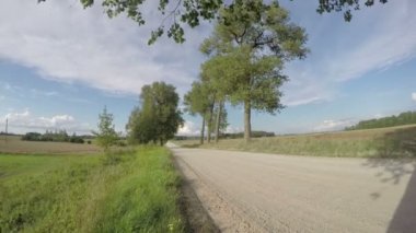 Ağaçlar, olan ülke yol zaman atlamalı 4k