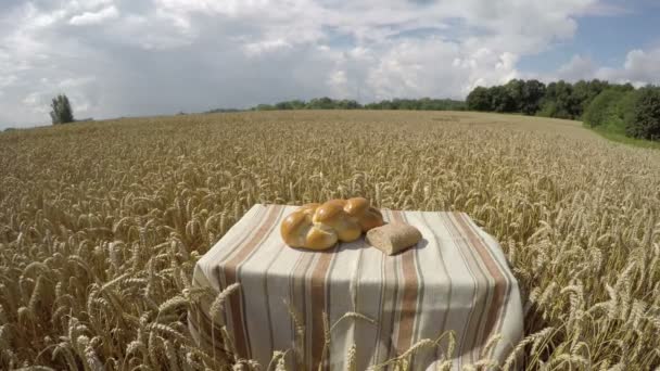 Pain sur la table dans le champ de blé, laps de temps 4K — Video