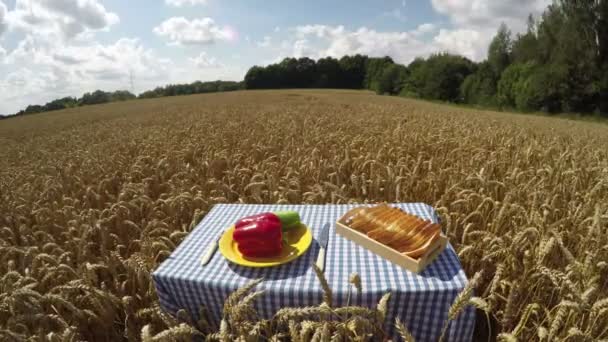 Хліб і овочі на столі в пшеничному полі, проміжок часу 4K — стокове відео