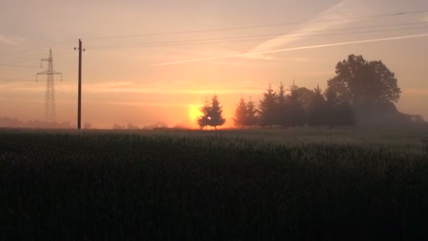 Sonnenaufgang auf den Feldern — Stockvideo
