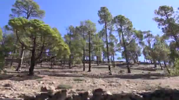Uitzicht vanaf de autoruit in Teide — Stockvideo