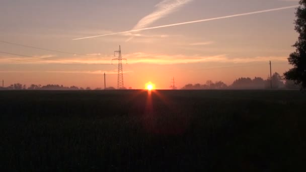 Paisaje con pilones eléctricos al amanecer — Vídeo de stock