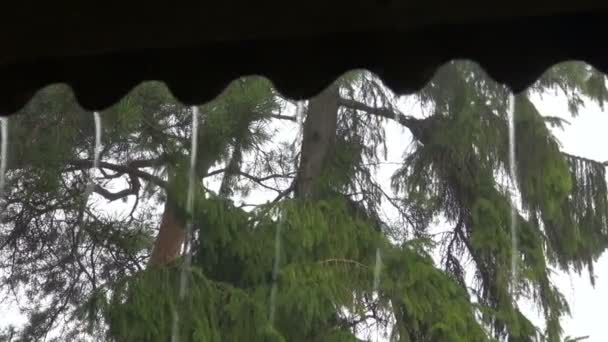 Νερό που τρέχει από την οροφή κατά τη διάρκεια της καλοκαιρινής καταιγίδας — Αρχείο Βίντεο