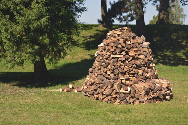 Stapel brandhout in park — Stockfoto