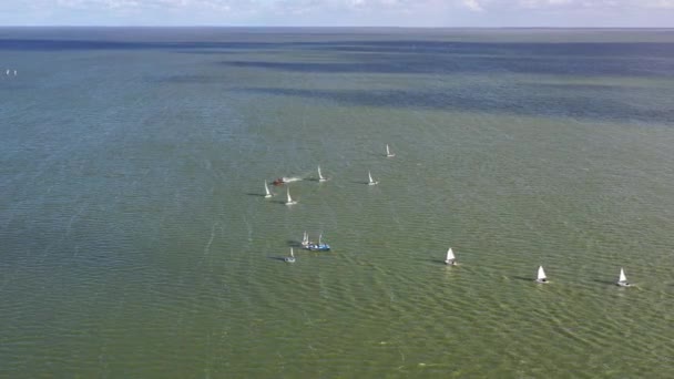 Wettbewerb Für Kleine Yachten Auf Dem Wasser Der Lagune Luftaufnahme — Stockvideo