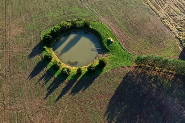 Luftaufnahme Über Kleinen Teich Auf Herbstlichem Acker — Stockfoto