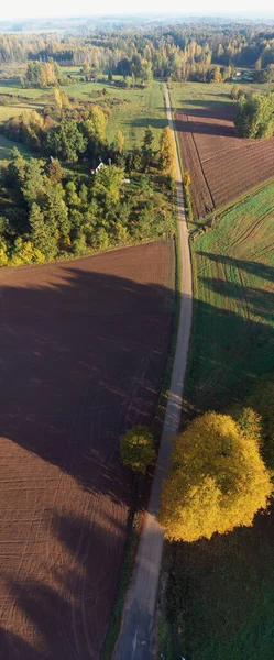 Autunno Strada Sterrata Nel Parco Naturale Pano Verticale Aerea — Foto Stock