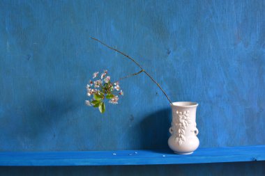 Beyaz vazo ve çiçek açan kiraz dalıyla dolu bir hayat