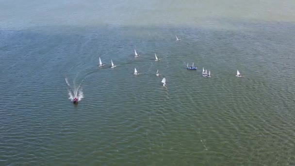 Yachten Wettbewerb Auf Dem Wasser Der Lagune Luftaufnahme — Stockvideo