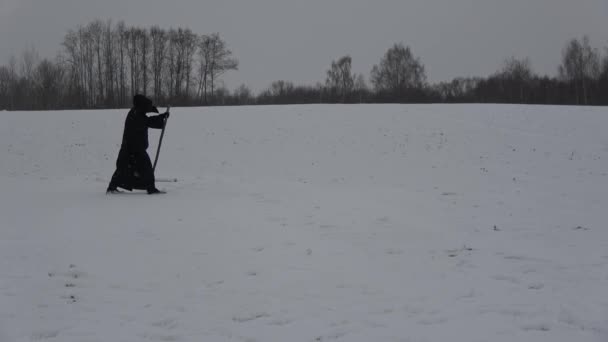 Plaquette Arts Zwarte Vogel Snavel Masker Het Veld Sneeuw Afbeelding — Stockvideo