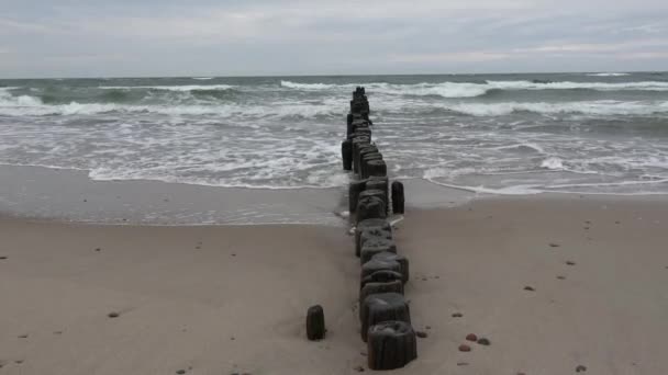 旧木制防波堤遗址和海浪 — 图库视频影像