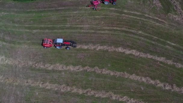 トラクターは干し草を収集し 牧草地 空中ビューでロールを作るためにトレイルベールマシンを使用しています — ストック動画