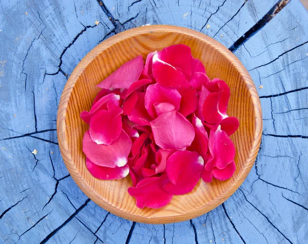 Petalo di rosa fresco in piatto di legno — Foto Stock