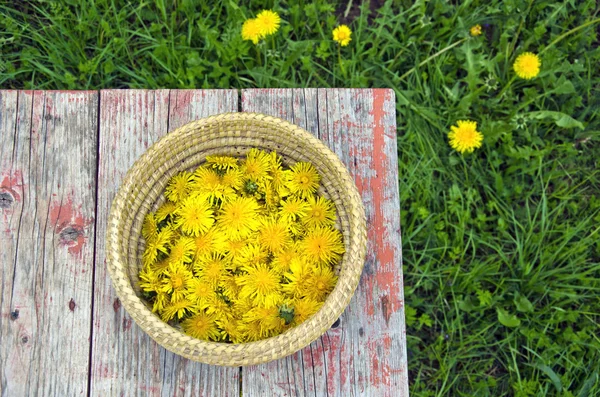 Fleurs fraîches de pissenlit d'été dans le panier sur la table — Photo