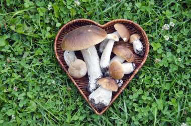 cep mantar kalp forma sepeti