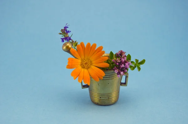 Medical flowers in vintage brass mortar — Stock Photo, Image
