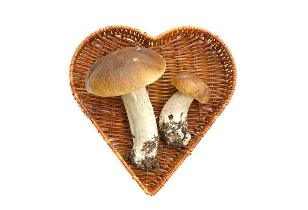 Two cep mushroom in heart form basket isolated — Stock Photo, Image