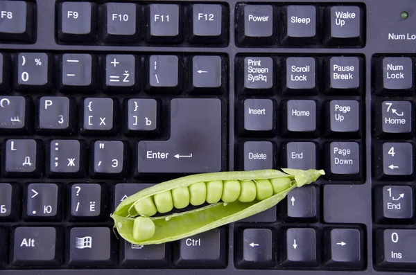 Vagem de ervilha doce fresca no teclado do computador — Fotografia de Stock