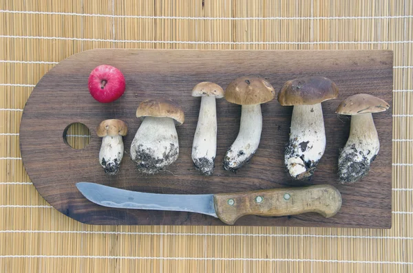 Fresh cep mushrooms on wooden cutting chopping board — Stock Photo, Image