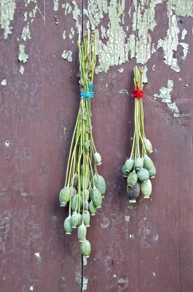 Två gäng vallmo huvud med frön på gamla trävägg — Stockfoto
