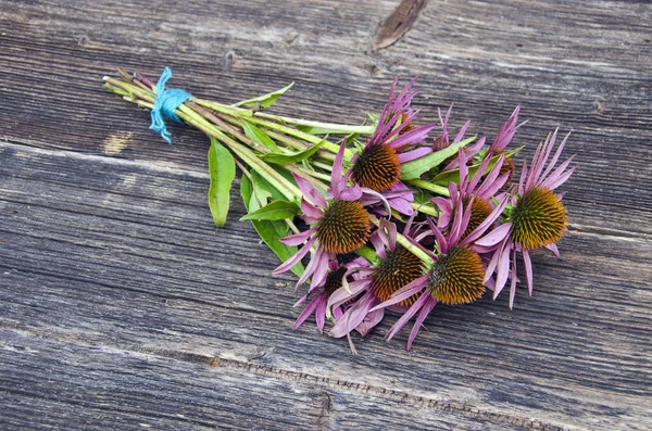 Ervas médicas echinacea flores cacho no fundo de madeira antiga — Fotografia de Stock