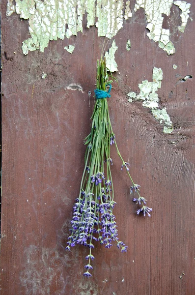 Kilka kwiatów lawendy na starej drewnianej ścianie wieku — Zdjęcie stockowe