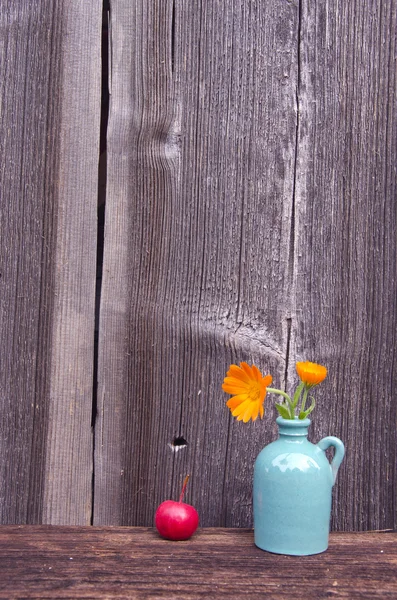 Calendula calendula fiori in piccolo vaso e mela — Foto Stock