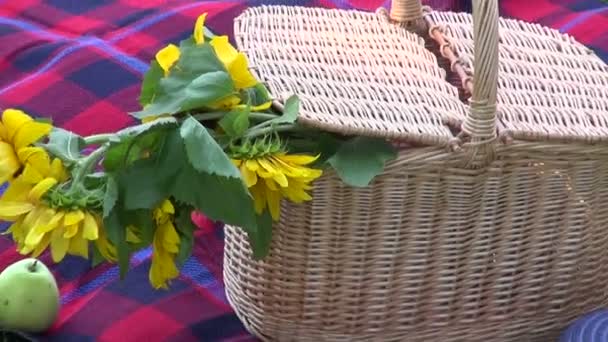 Çimlerin üzerine çiçekli şarap şişe ve piknik sepeti — Stok video
