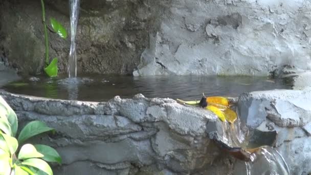 Antigua fuente de jardín budista hermosa con salpicadura de agua — Vídeo de stock