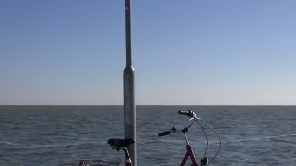 White stork (Ciconia ciconia) on sea beach coast lamp — Stock Video