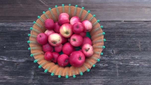 Tuinman hand zetten verse rode appel in plaat — Stockvideo