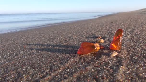 Красиві натуральні бурштинові шматочки на морському ранковому пляжі пісок — стокове відео