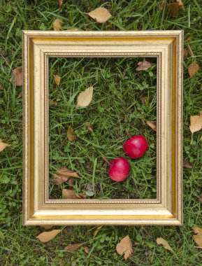 elma ve altın çerçeve ile sonbahar natürmort