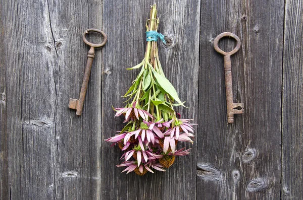 Ervas médicas echinacea flores cacho e velha chave enferrujada na parede — Fotografia de Stock