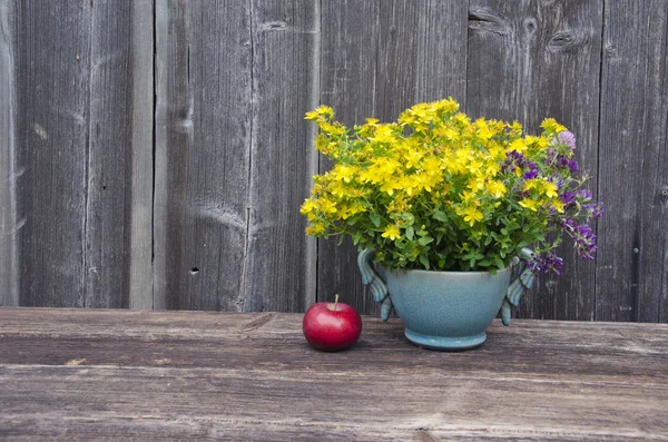 의료 신선한 세인트 존스 wort 꽃과 사과 — 스톡 사진