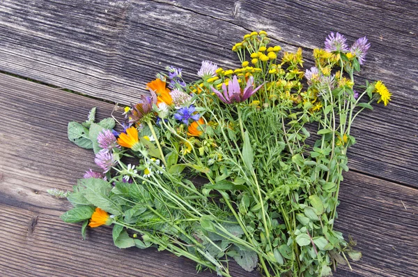 Various summer medical flowers herbs on wooden background — Stock Photo, Image