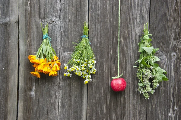 Kruidengeneeskunde bloemen en rode appel op de muur — Stockfoto