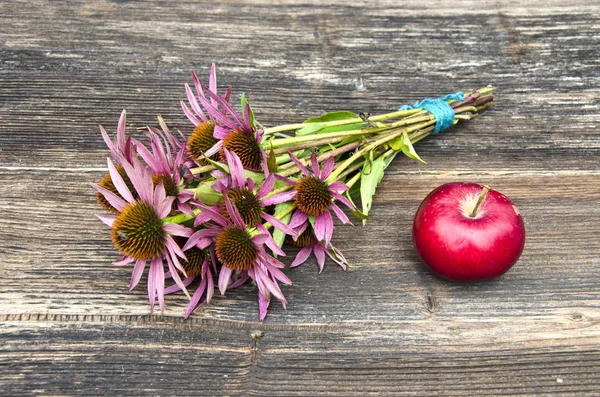 Medical herbs echinacea flowers bunch and red apple — Stock Photo, Image