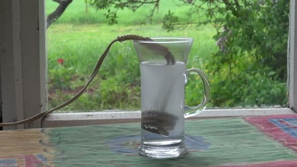 Кипящая вода для чая с винтажной нагревательной катушкой — стоковое видео