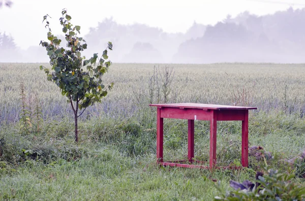 Vecchio tavolo rosso e nebbia mattutina nel giardino della fattoria — Foto Stock