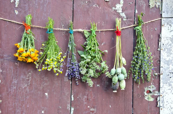 various flowers and medical herb bunch on wooden grunge wall