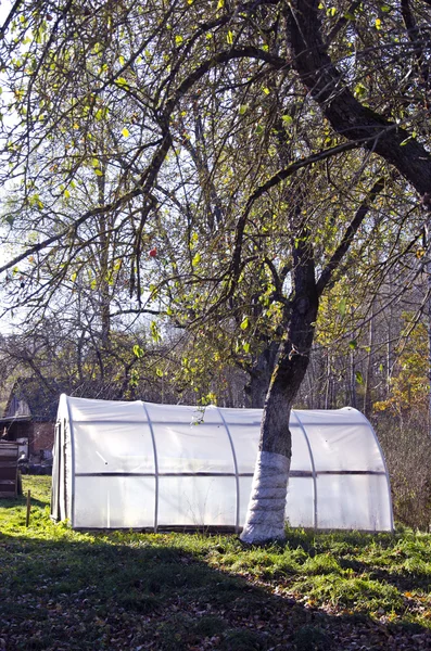 Primitive plastic greenhouse in farm autumn  time garden — Stock Photo, Image